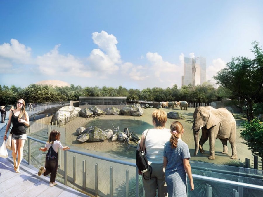 Barcelona Regional - Desenvolupament dels projectes Zoo de Barcelona